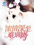 小说 浓情