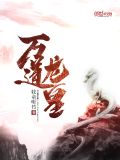 陆鸣的小说