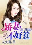 豪门婚宠：娇妻不好惹