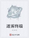 迷雾终端