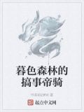 暮色森林trollsteinn