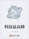 科技最高峰