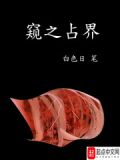窥探之书