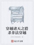 穿越诸天之猎杀非法穿越