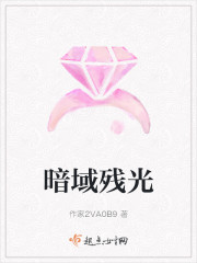暗月残片瞎