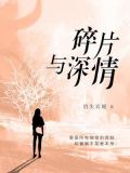 碎片与深情