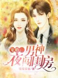 宠婚：男神夜闯闺房