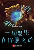 一切发生在许愿之后