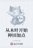 从木叶开始种田加点