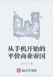 从手机开始的平价商业帝国