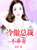冷傲总裁不乖妻