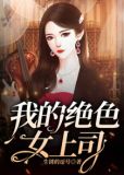 职场韵事：我的绝色女上司1
