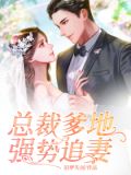 总裁爹地强势追妻