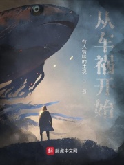 从车祸开始