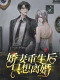娇妻重生后只想离婚时颜
