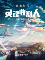 废土时代灵魂收割人