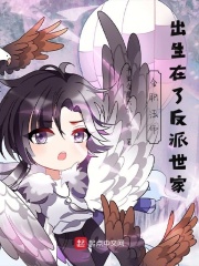 全职法师：出生在了反派世家