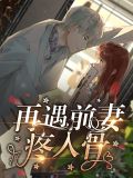 再遇前夫免费阅读全文江宝宝