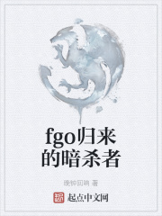 fgo归来的暗杀者