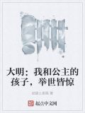 大明：我和公主的孩子，举世皆惊