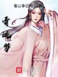 青婉梦华录