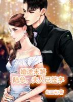 婚途末路:陆总,夫人已签字 红豆米
