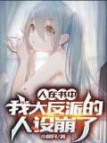 人在书中,我大反派的人设崩了 小说