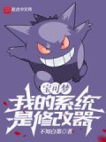 宝可梦：我的系统是修改器