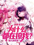 原神:女主们为什么都在撩我?小说