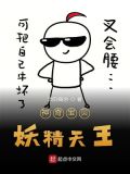 神奇宝贝妖精天王