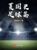夏国史足球篇