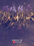 游戏经历