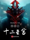 网游之十二星宫