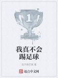 我真不会踢足球