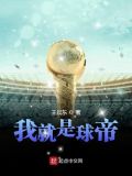 我就是球帝