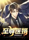 至尊医婿王辰沈青衣