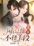 陆总的追妻路