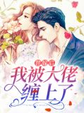 替嫁后我被大佬宠上天陈可欣
