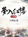 梦入红楼之薛蟠上世