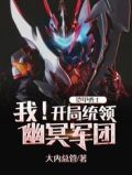 铠甲勇士之开局最强幽冥魔 小说