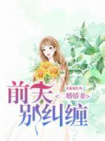 二婚娇妻:前夫,别纠缠
