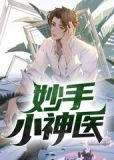 无敌小圣手