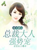 总裁 情人 文