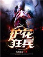 护花狂兵蝎子小说