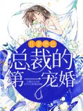 总裁的丑妻书籍