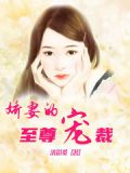娇妻至上墨时谦