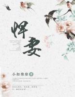 重回七零小悍妻
