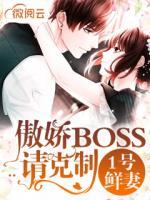一号鲜妻令