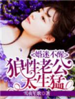 婚宠蜜情狼性老公别撩我 小说