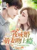 一夜蜜爱总裁宠婚要亲亲小说